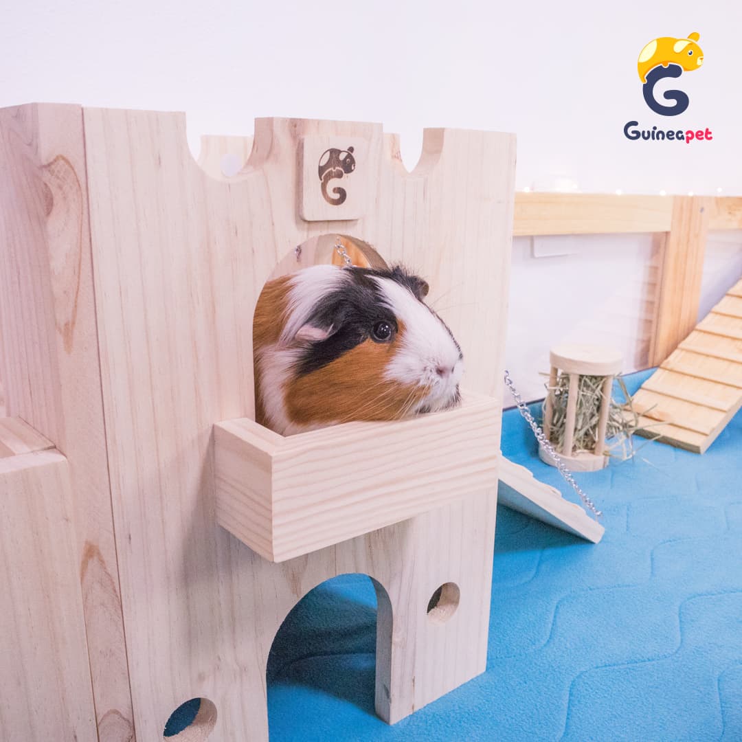 Holzversteck im Schlossturm