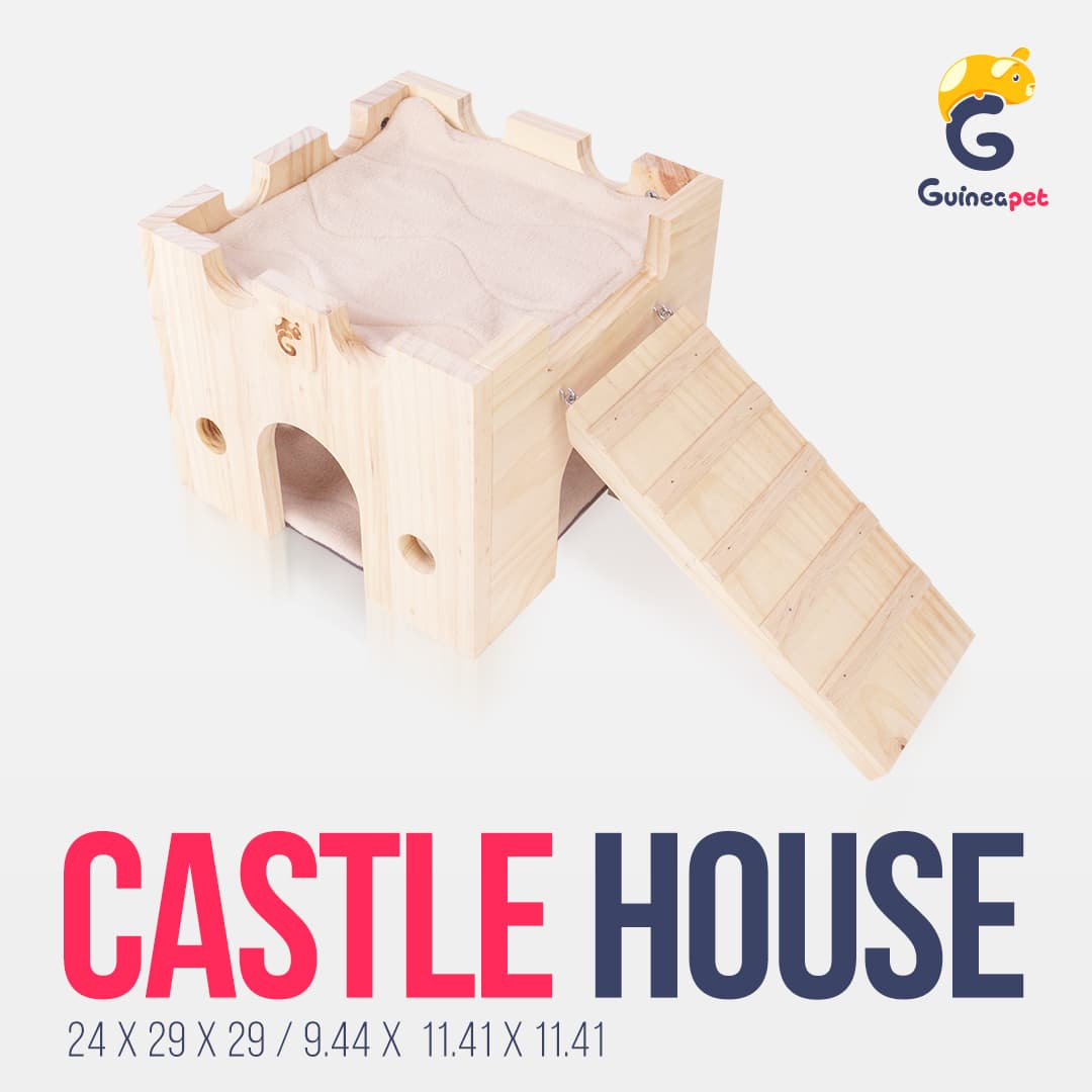 Schlosshaus aus Holz