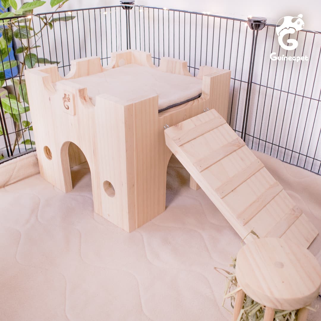 <tc>Abri en bois. Maison du château</tc>