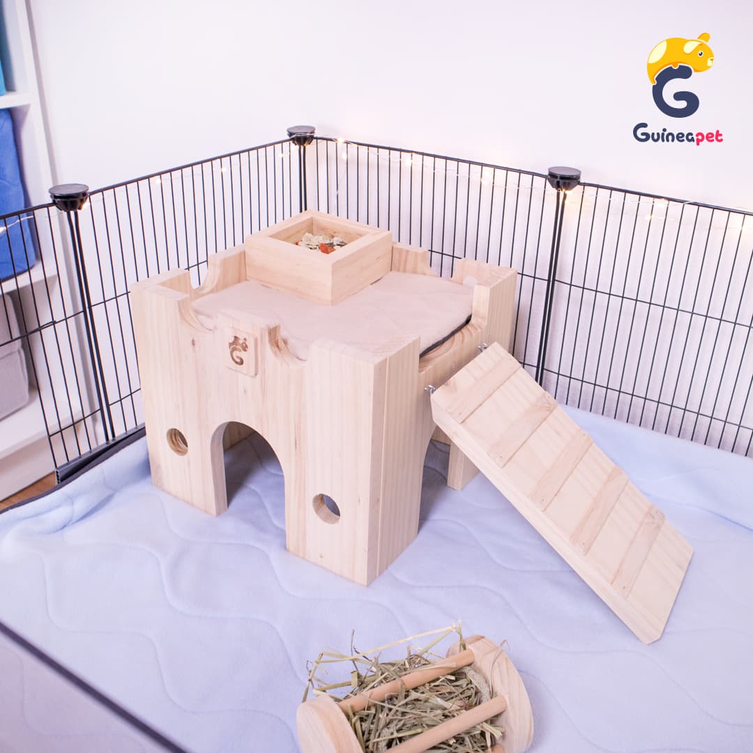 Schlosshaus aus Holz