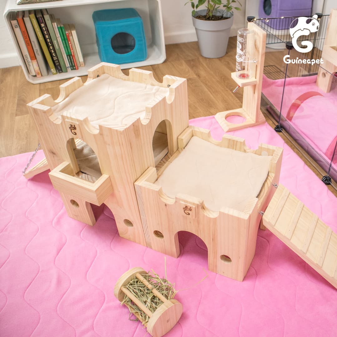 Tour du château en bois caché