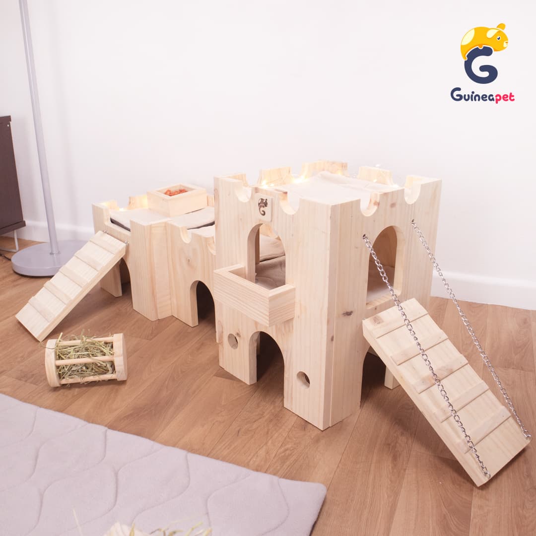 Schlosshaus aus Holz