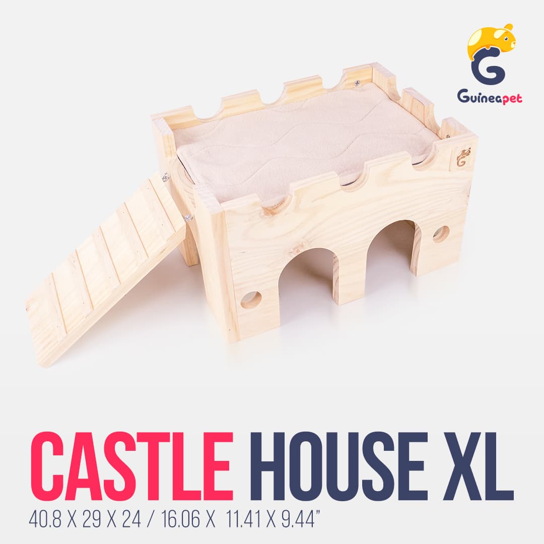 Schlosshaus XL Holz Versteck