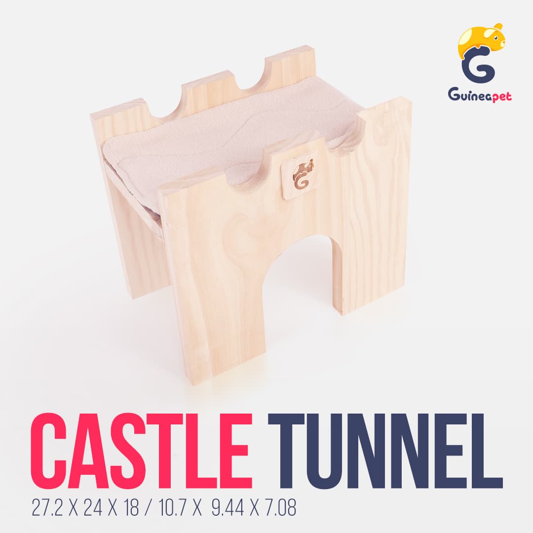 Tunnel de château en bois caché