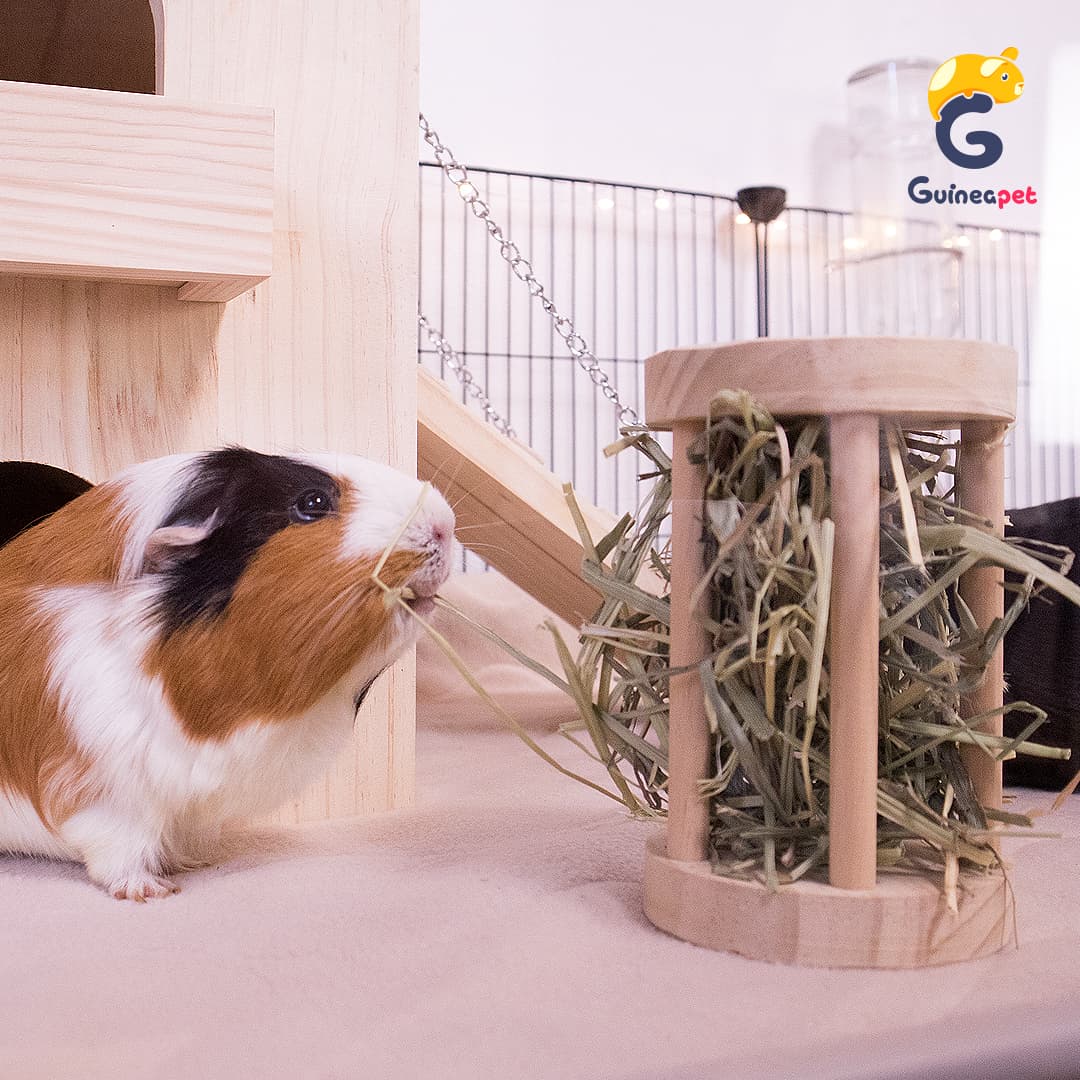 Rolling Hay Feeder