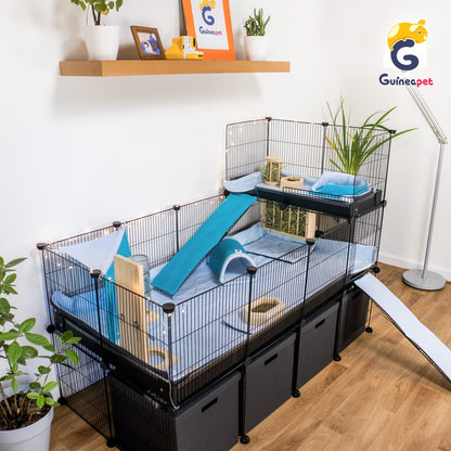 Enceinte 2X4 <tc>C&C</tc> avec support et loft