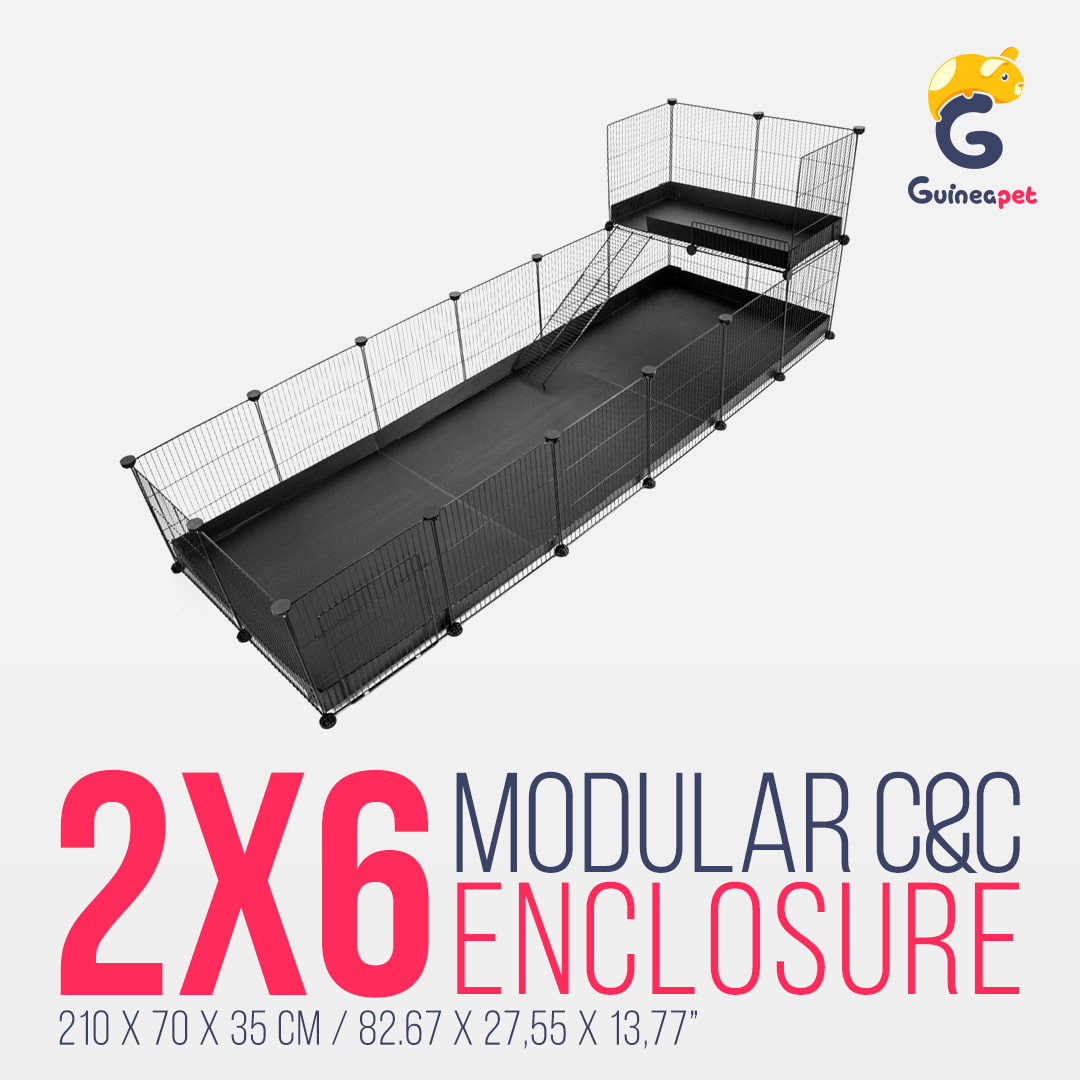 2X6 C&C Enclosure with Loft