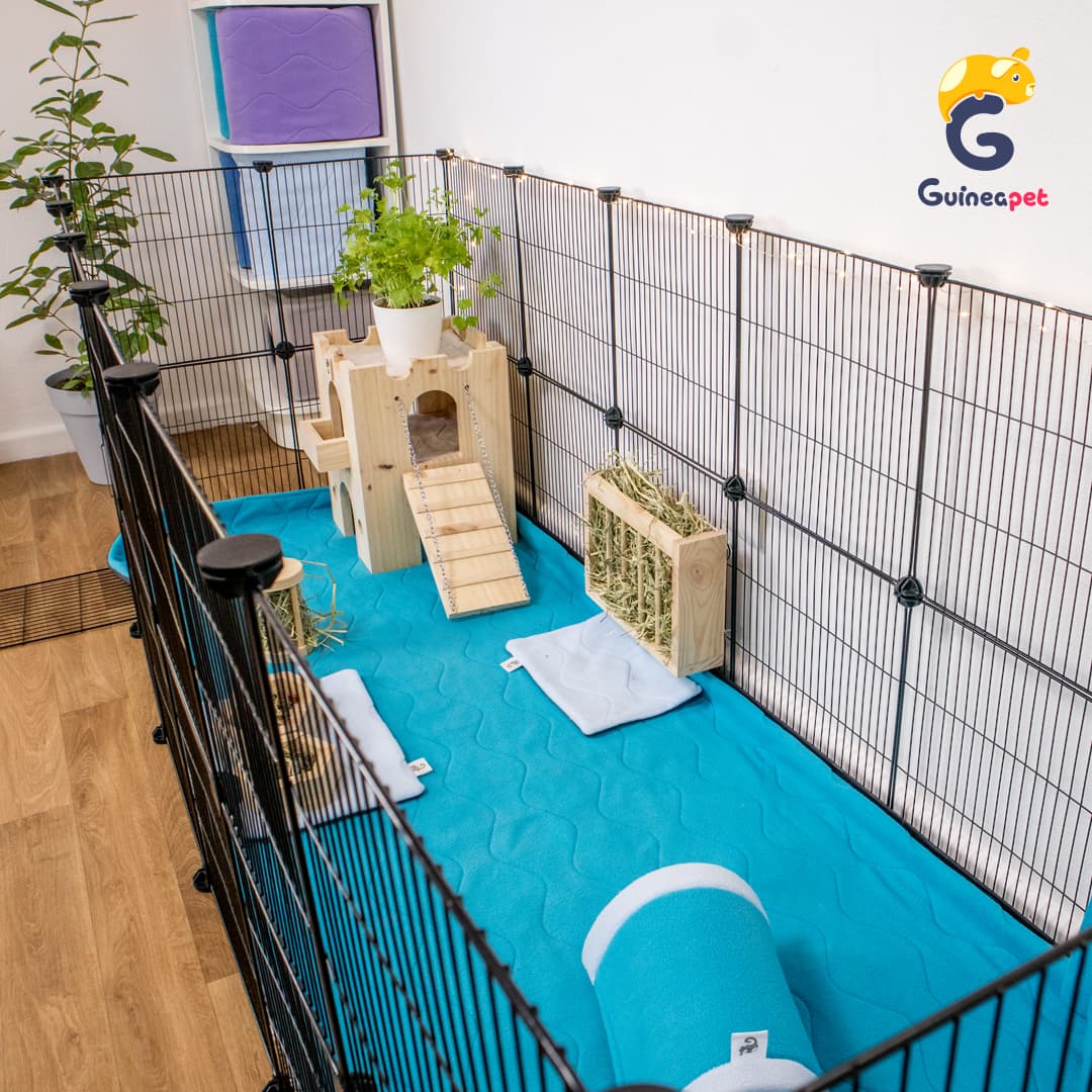 2X6 C&C Enclosure for Rabbits