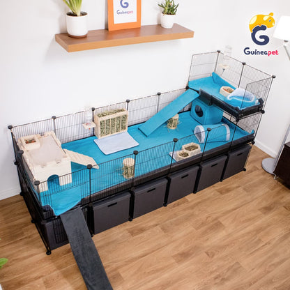 2X6 C&C Enclosure with stand and Loft