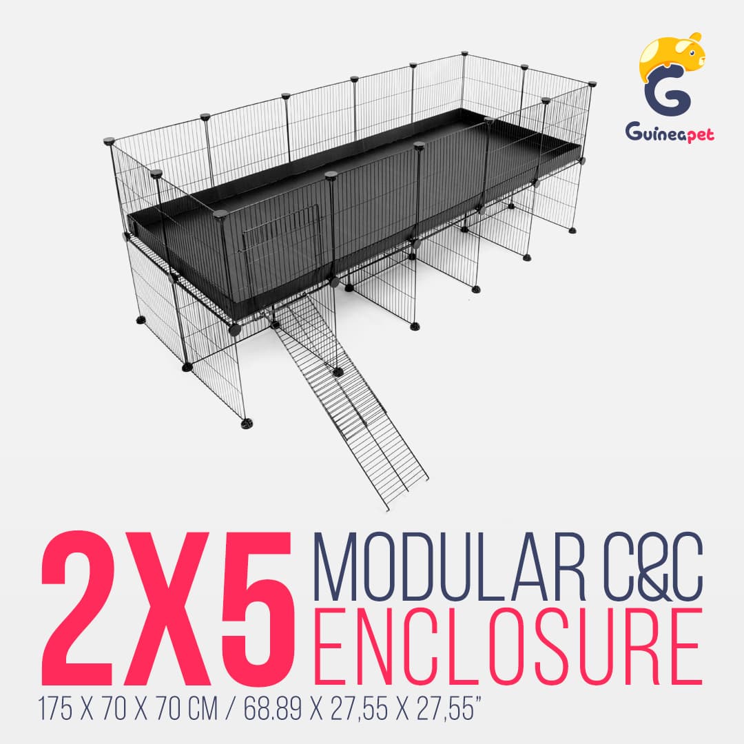 2X5 <tc>C&C</tc> Gehäuse mit Ständer