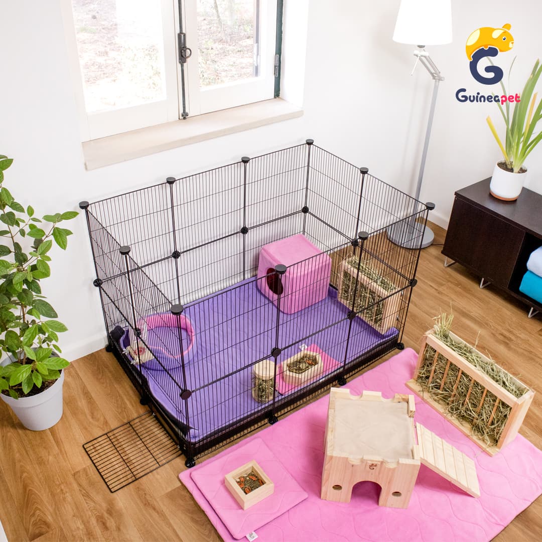 Gabinete 2X3 C&C para Coelhos