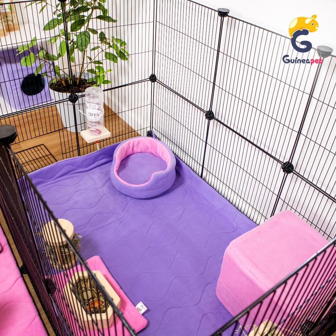 Gabinete 2X3 C&C para Coelhos