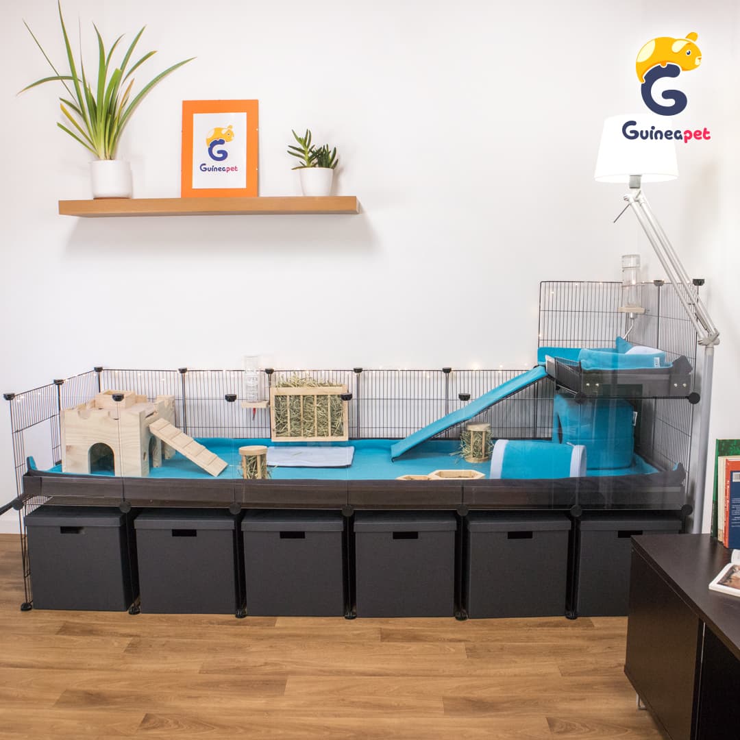 Gabinete C&C transparente 2X6 com suporte e loft