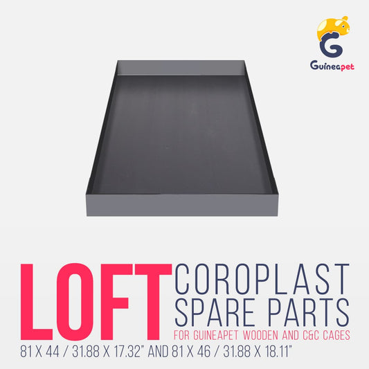 Coroplast / Correx lofts for Guineapet enclosures