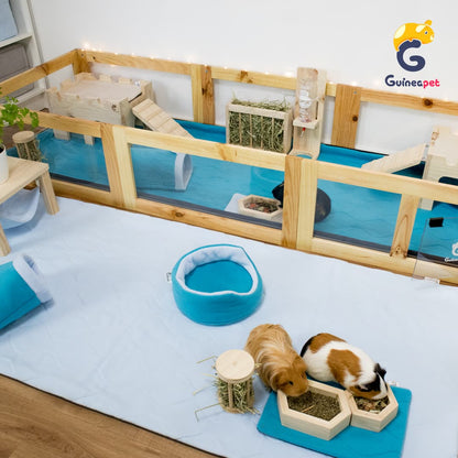 Coroplast / Correx bases for Guineapet enclosures