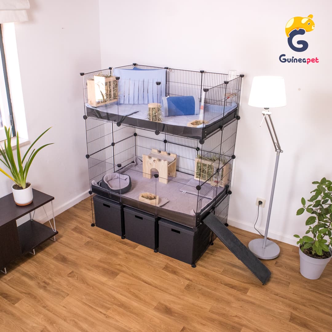 Double 2X3 Transparent C&C Enclosure with Stand