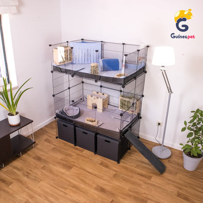 Double 2X3 Transparent C&C Enclosure with Stand