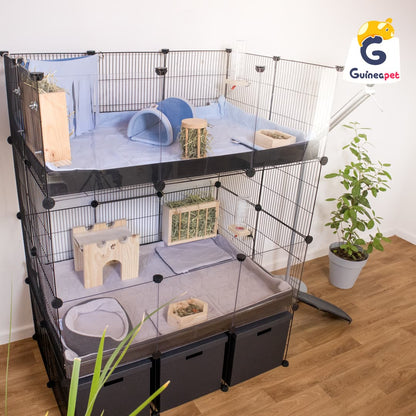 Double 2X3 Transparent C&C Enclosure with Stand