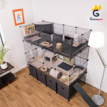 Double 2X4 Transparent C&C Enclosure with Stand