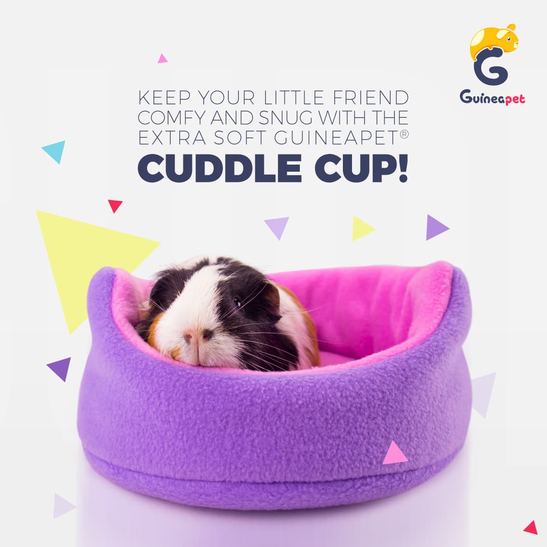 Cuddle Cup