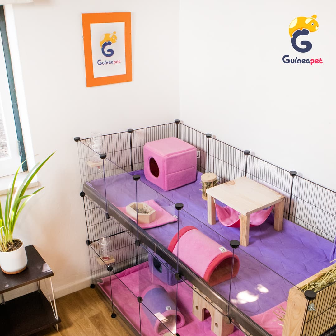 Casa Cubo